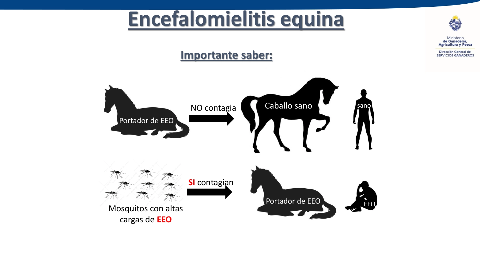 Encefalomielitis equina en Uruguay.