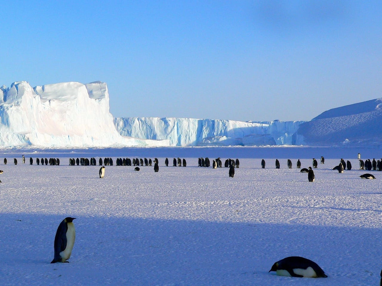 Uruguay avanza en la ciencia global con un fondo único para la investigación en la Antártida, financiando proyectos desde 2025.
