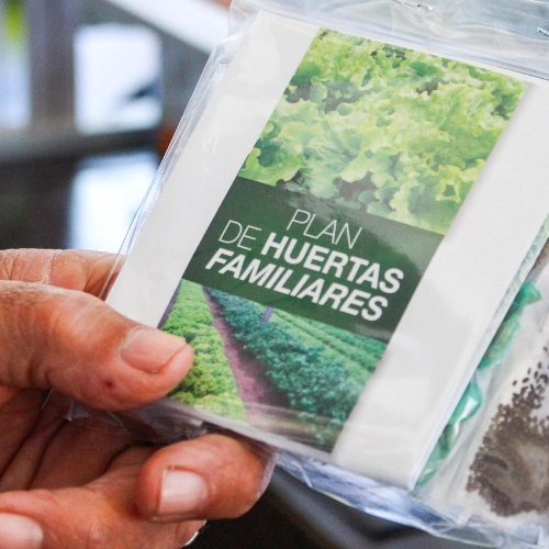 Semillas gratuitas para los residentes de Maldonado; una iniciativa para crecer huertas familiares y promover la alimentación saludable.