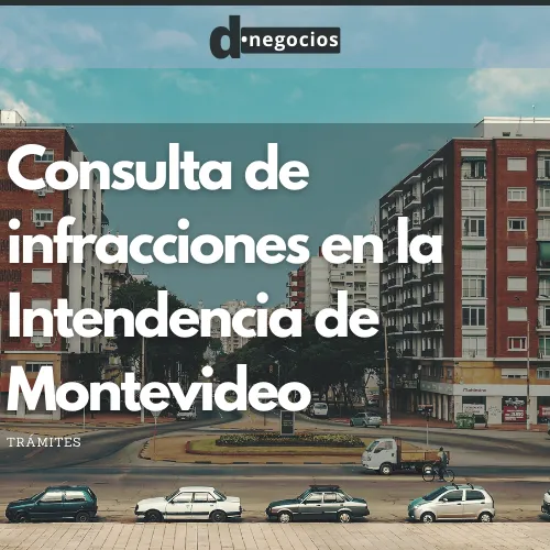 Consulta de infracciones en la Intendencia de Montevideo