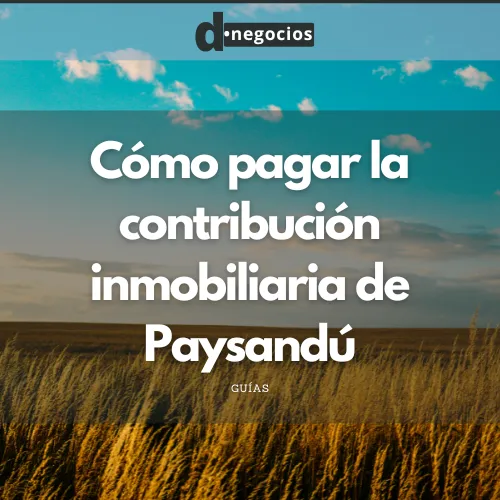 Cómo pagar la contribución inmobiliaria Paysandú.