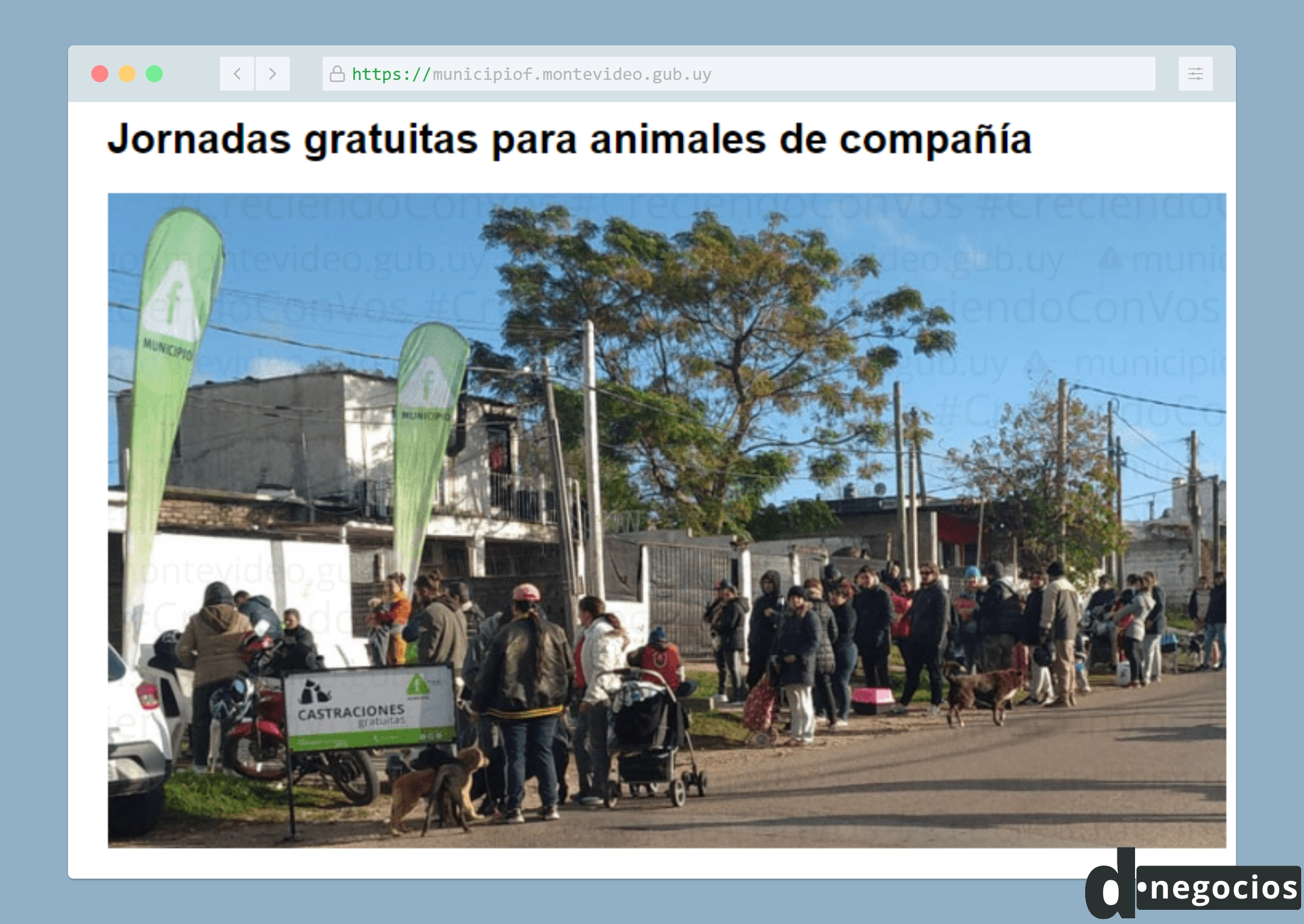 Castración de perros y gatos gratis en Montevideo.