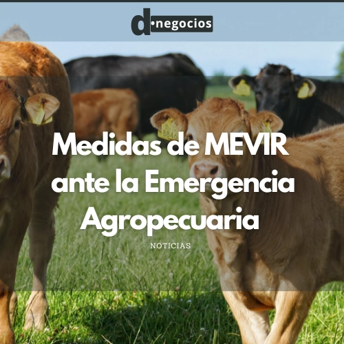 Medidas de MEVIR ante la Emergencia Agropecuaria.