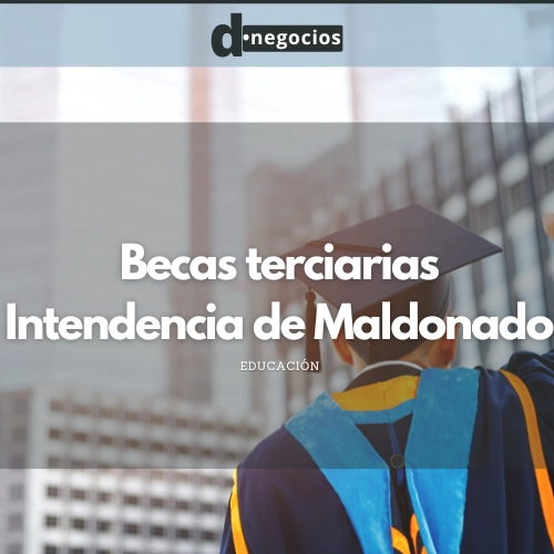 Becas terciarias Intendencia de Maldonado.