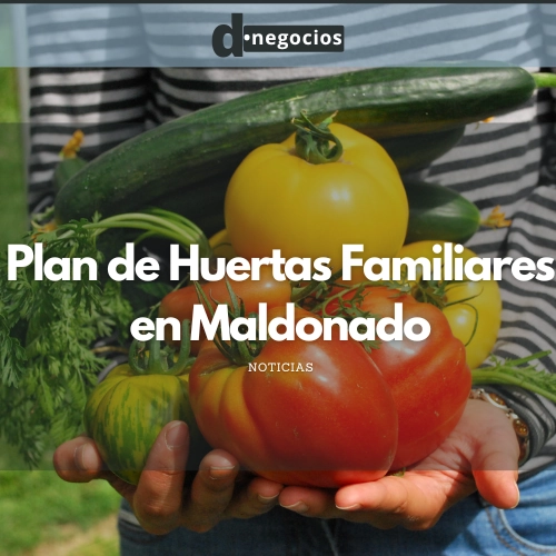 Plan de Huertas Familiares en Maldonado.