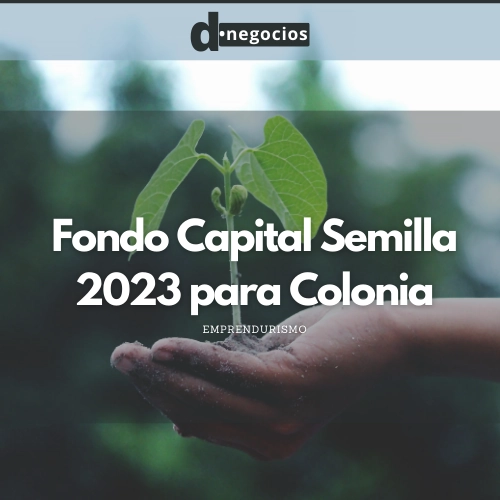 Fondo Capital Semilla 2023 para Colonia.