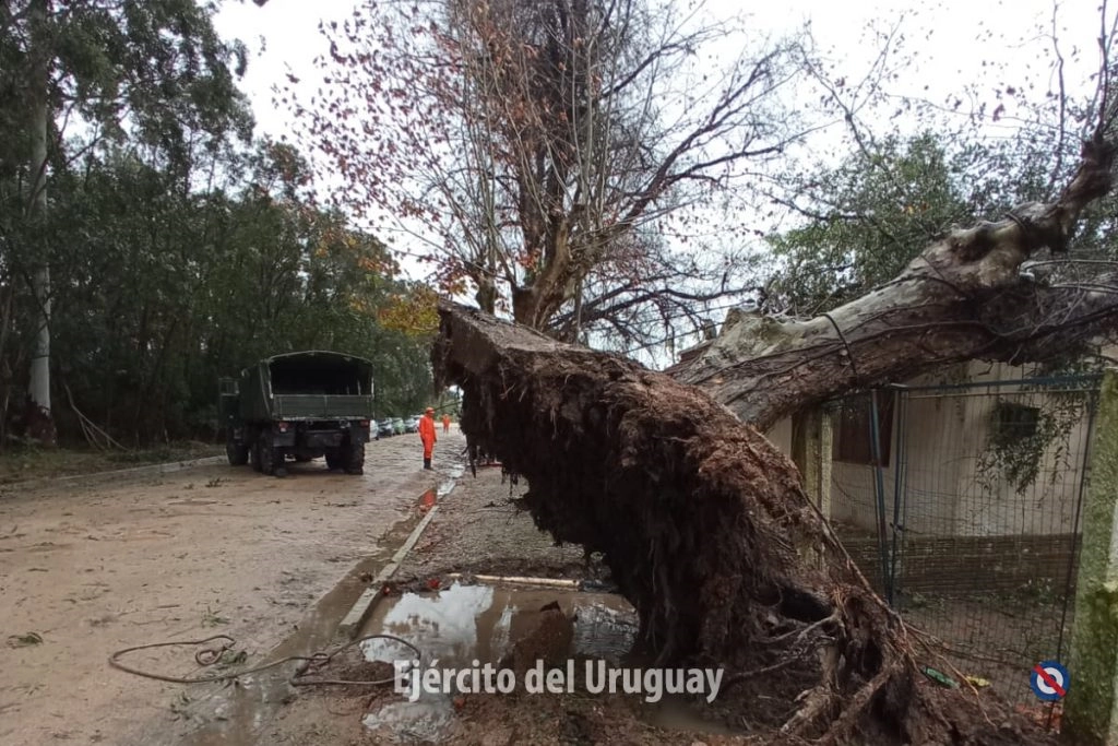 Ejército Nacional trabaja tras tormenta en Cerro Largo