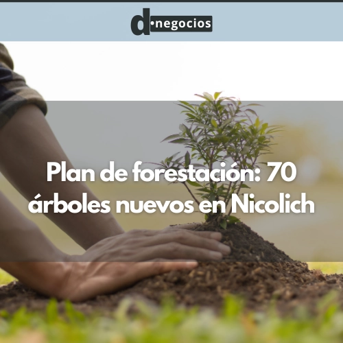 Plan de forestación: 70 árboles nuevos en Nicolich.