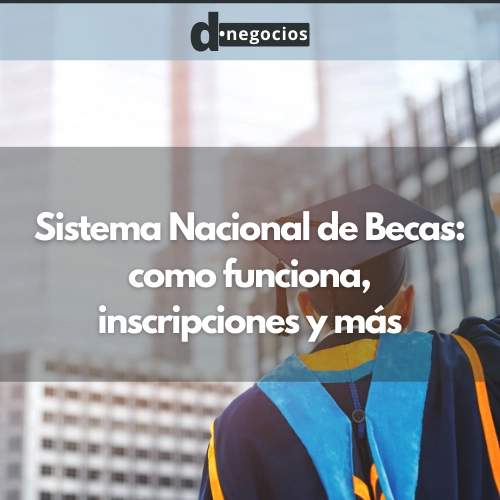 Sistema Nacional de Becas.