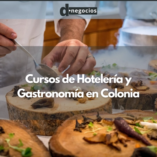 Cursos de Hotelería y Gastronomía en Colonia