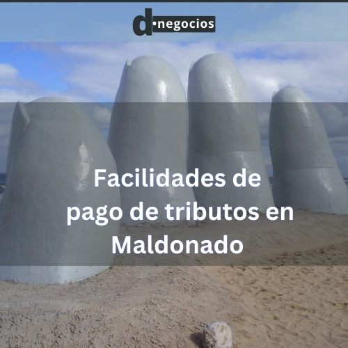 Facilidades de pago en Maldonado: Tu oportunidad para saldar tributos sin estrés..