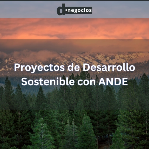 Proyectos de Desarrollo Sostenible con ANDE.