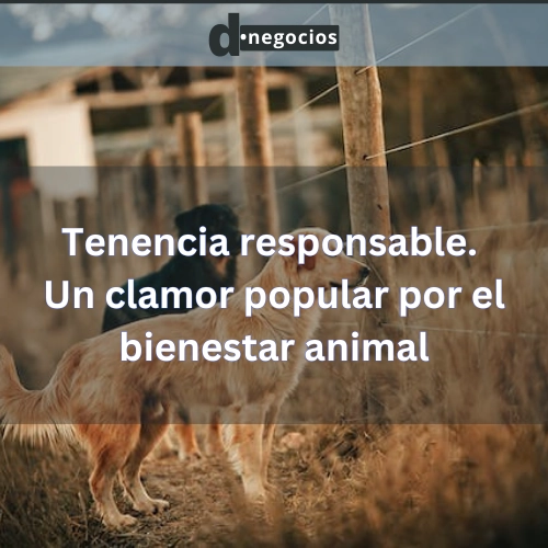Tenencia responsable. Bienestar animal en Uruguay