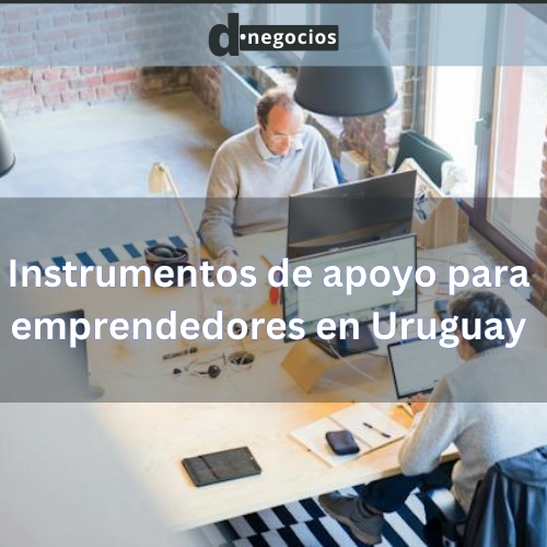 Instrumentos de apoyo para emprendedores en Uruguay.