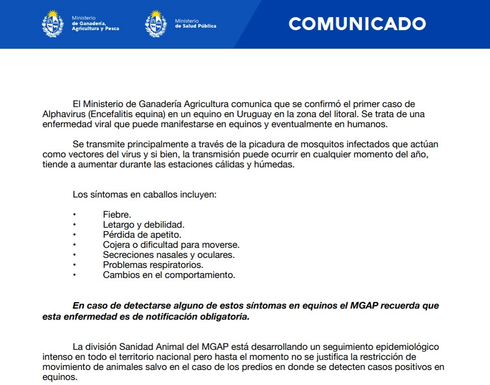 Comunicado oficial sobre encefalitis equina en Uruguay.