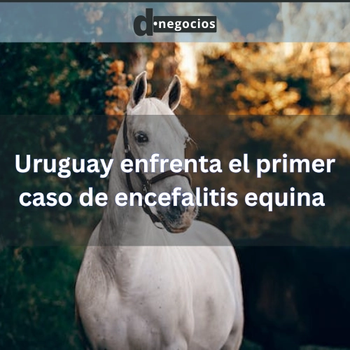  Uruguay enfrenta el primer caso de encefalitis equina.