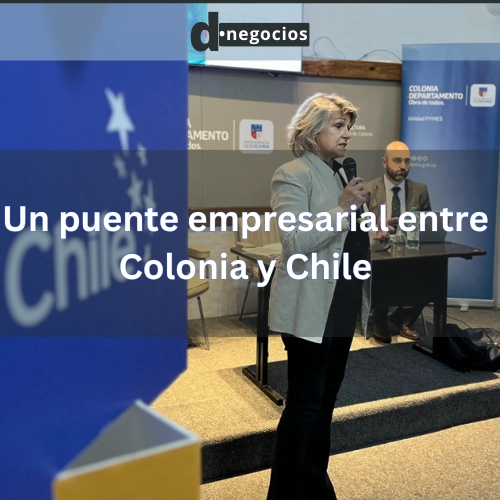 Un puente empresarial entre Colonia y Chile