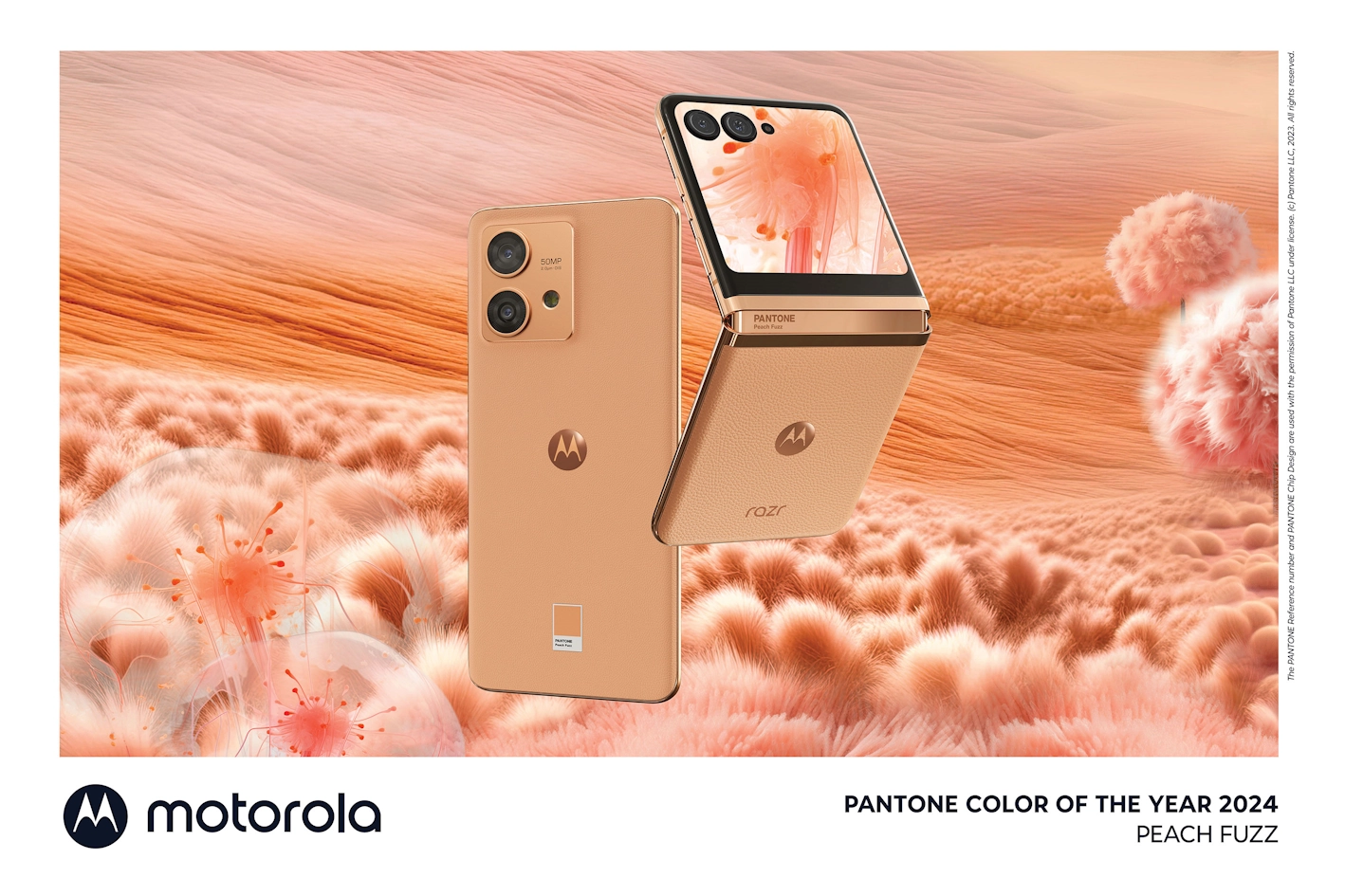 Motorola Pantone.