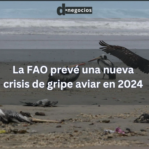 La FAO prevé una nueva crisis de gripe aviar en 2024.