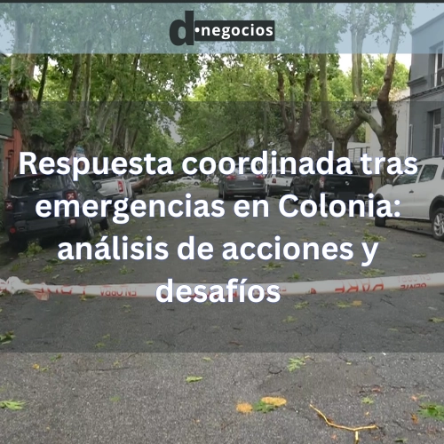 Respuesta coordinada tras emergencias en Colonia: análisis de acciones y desafíos.