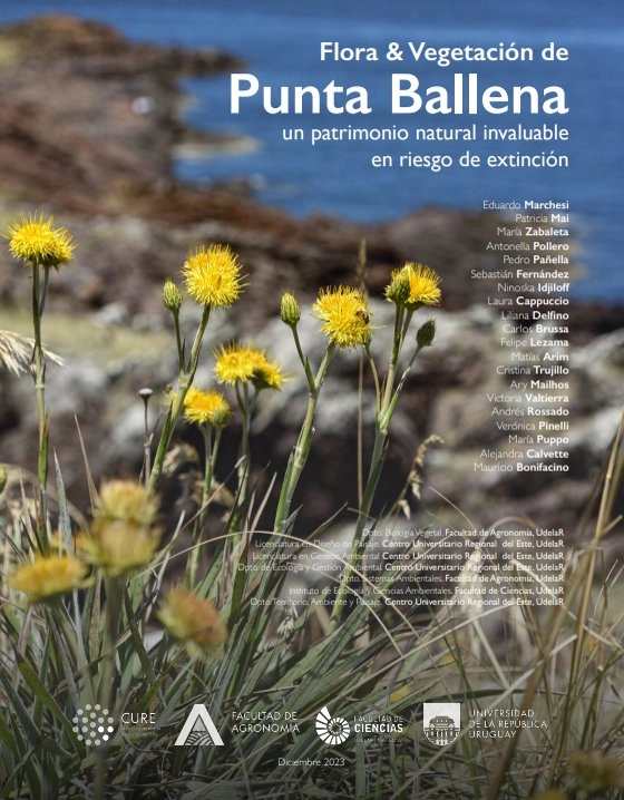 Tapa del estudio «Flora & Vegetación de Punta Ballena. Un patrimonio natural invaluable en riesgo de extinción».