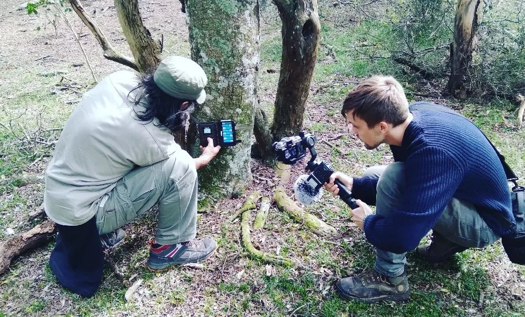 Colocación de cámaras para monitorear la fauna en Uruguay.